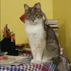 Отзыв от Алиса Черная
